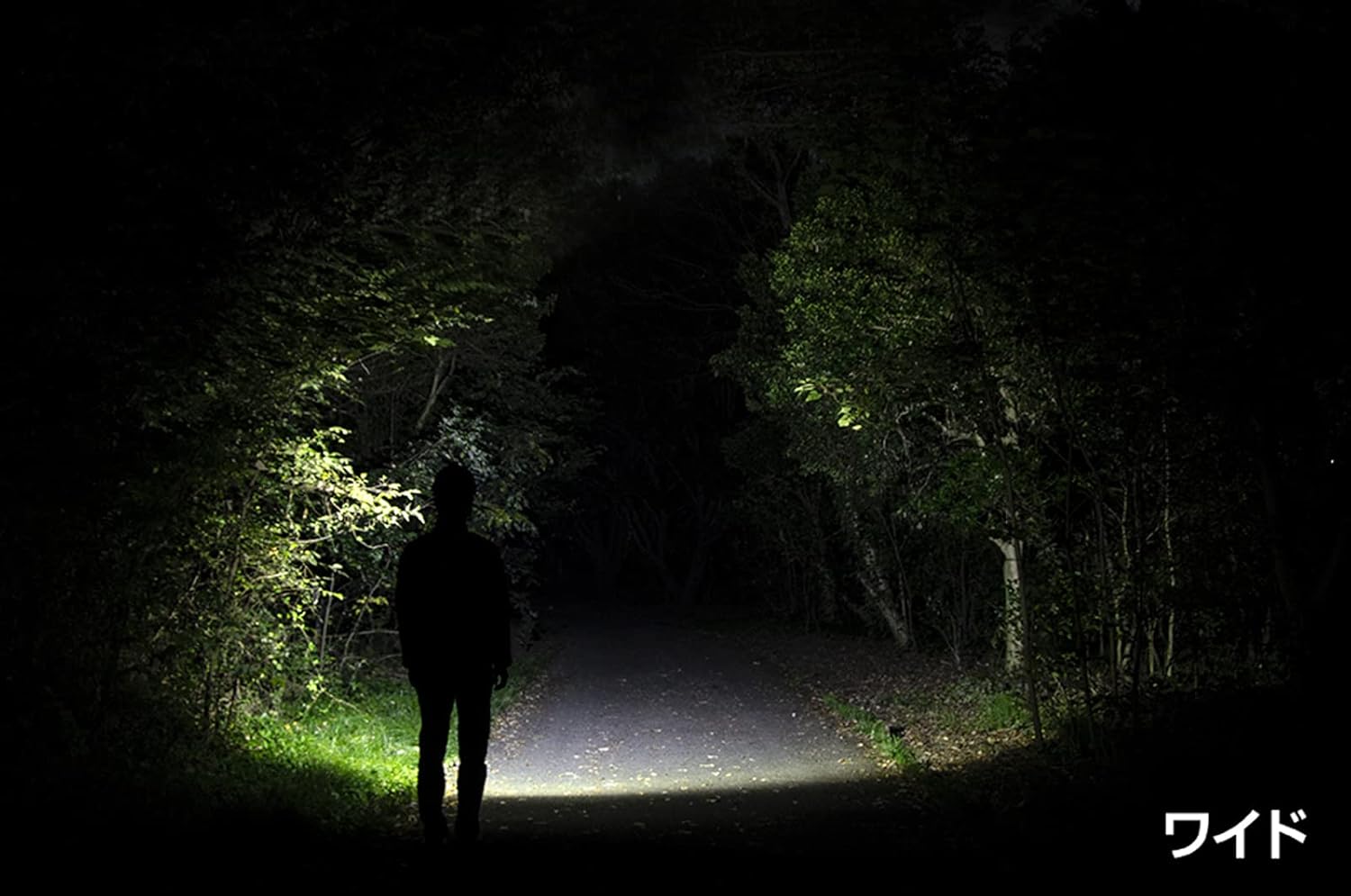 Gentos DPX-418H LED Headlight, USB Rechargeable (Dedicated Rechargeable Battery/AA Battery), Powerful, 700 Lumens, Waterproof, Delta Peak