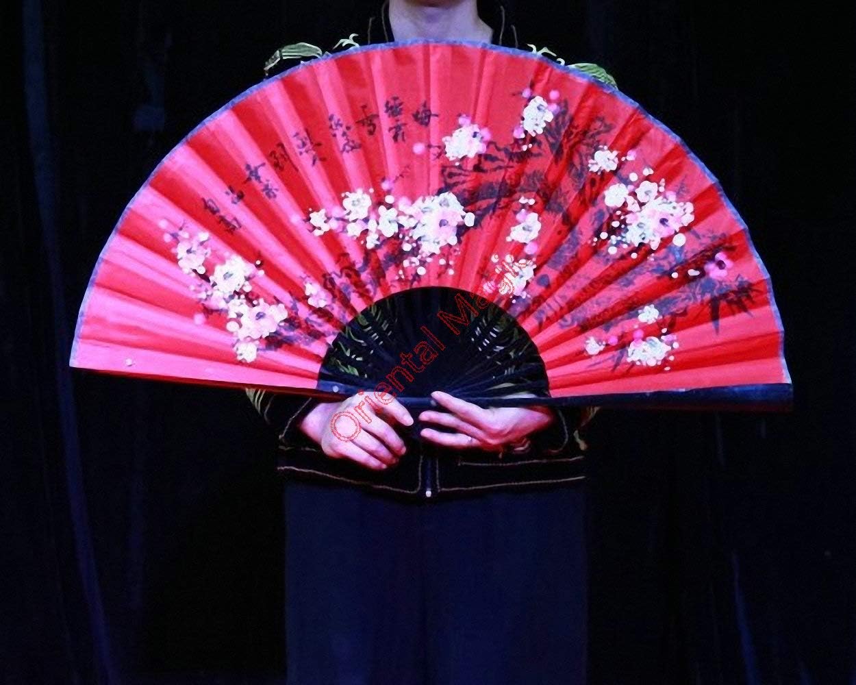 Scroll to Fan Magic Tricks , Party Tricks, Amazing Tricks , Magic Kit,Stage Magic