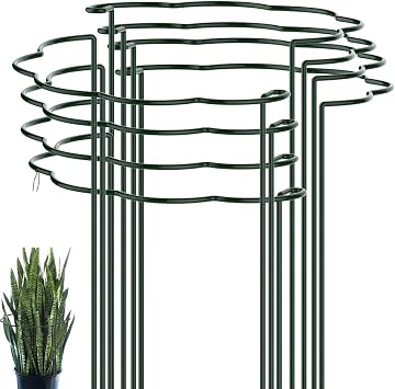 12 Pcs 10'' x 16'' Plant Support Stakes - 25 40cm Metal Garden Plant Stakes - Garden Half Round Plants Support Ring for Peonies Monstera Hydrangeas Roses Sedum Vegetables Tomatoes - Green