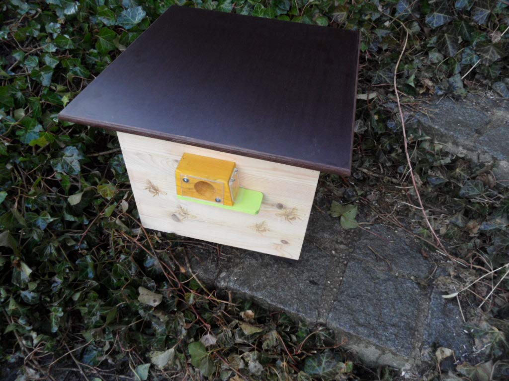 XXXL Luxus Hummelkasten mit Wachsmottensperre, 2X Sichtfenster und Nistmaterial Imprägniert Wetterfest Bienenhaus Hummelhaus Nistkasten Hummelvilla Bienen Insektenhaus