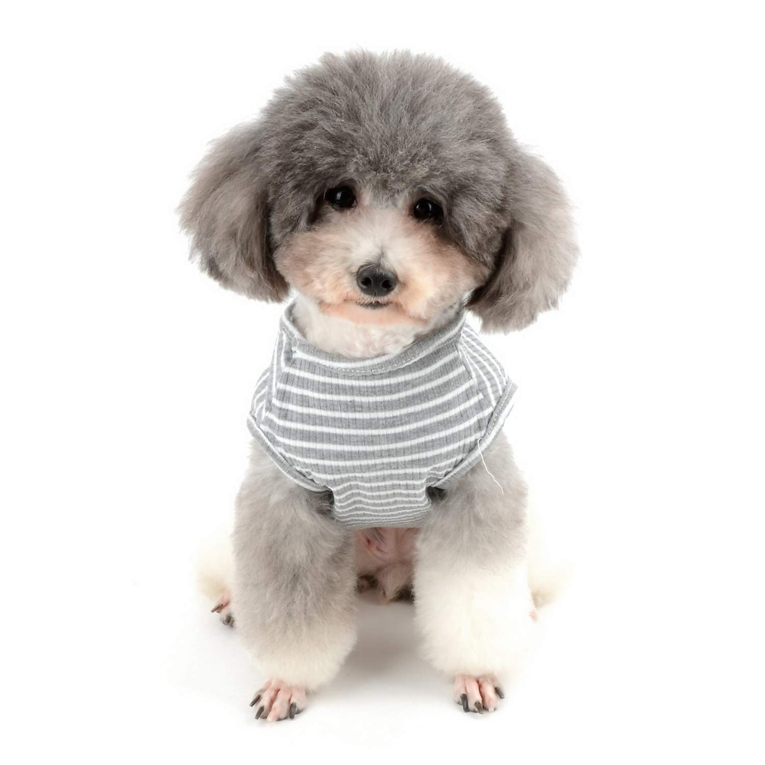 Camicia Per Cani Piccoli Ranphy - Maglia Senza Maniche In Cotone Morbido - Foto 7