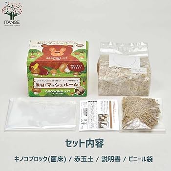 Amazon｜ITANSE おうちでできるキノコ栽培キット ブラウン