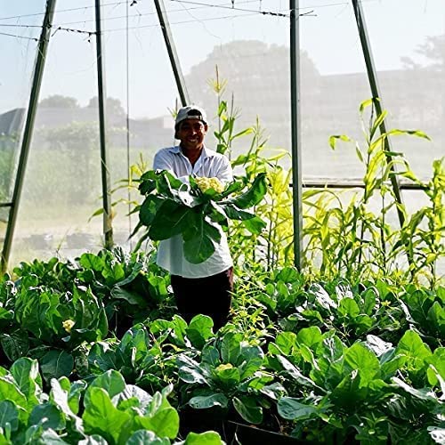 Garden Insect Netting Pest Barrier: 2 Pack 4'X10' Bug Netting For Garden Protection Mosquito Net Fine Mesh Cicada Tree Net Greenhouse Row Cover For Crops Plants Vegetables Flowers Fruits Silver #TOP4