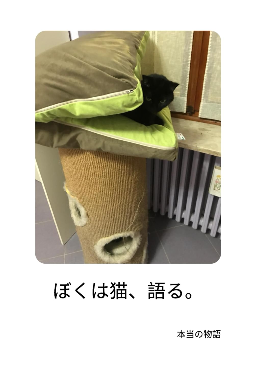 ぼくは猫、語る。
