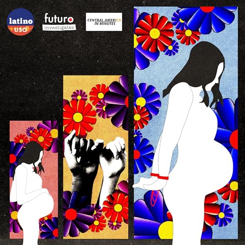 From Pregnancy to Murder Charge: Living Under a Total Abortion Ban Podcast Por arte de portada