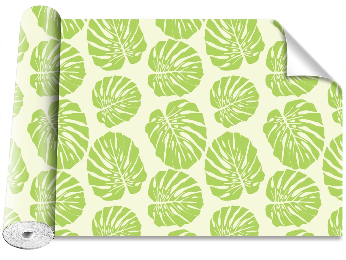 Papier peint feuilles monstres pour créer un salon jungle moderne