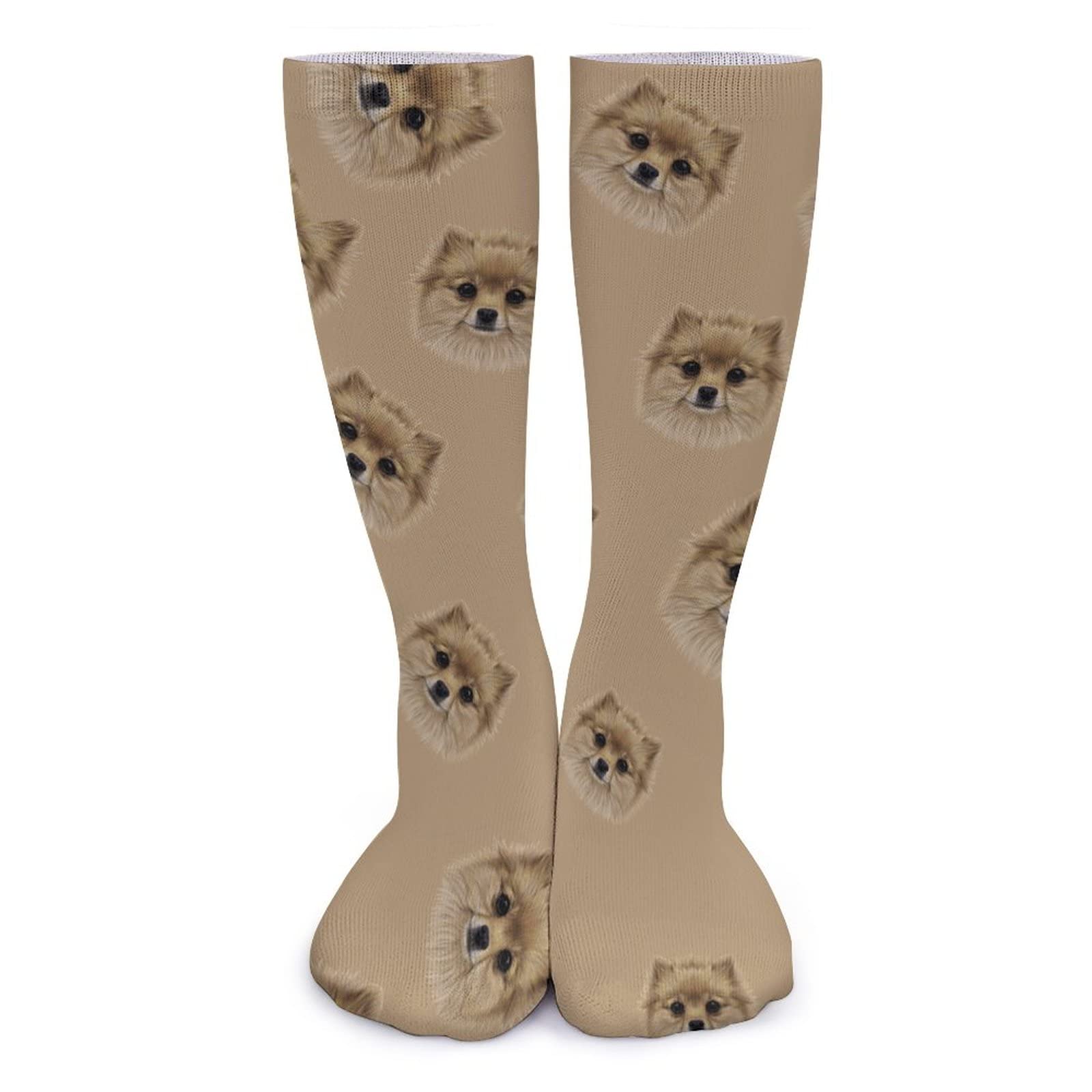 Fwjzdsp Unisex As Pic Pomerian Dog Poster Artwork Over The Calf Thick Socks Warm Knee High Fabric Stockings For Men And Women