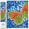 DIAMOND DOTZ Flutterby Earth Diamond Painting Kits for Adults - Diamond Art Kits a Relaxing Creative Craft Kit with Dotz Gems 12x12