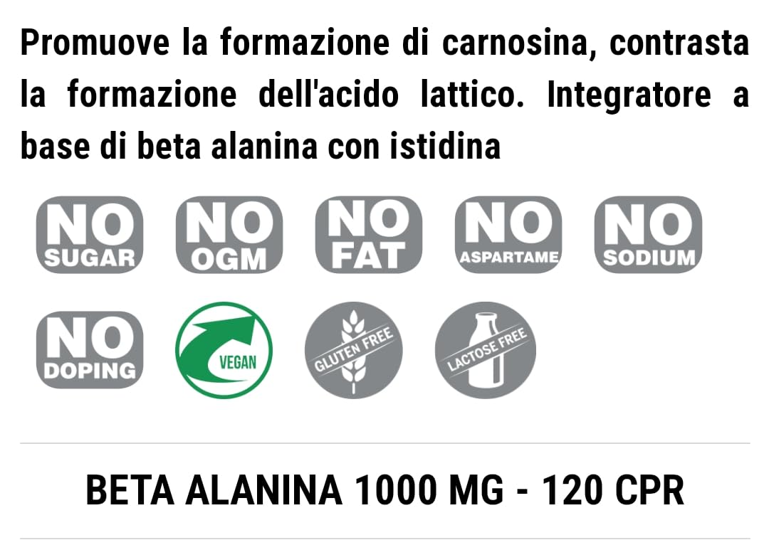 Pronutrition BETA ALANINA 1000 mg 120 Cps - Contrastare la formazione dell' acido lattico, soprattutto negli sport aerobici e di pesistica pesante, aumentando i livelli di carnosina nel muscolo.