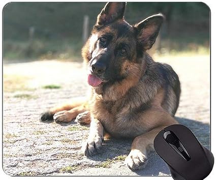 Amazon マウスパッド ジャーマンシェパード犬子犬かわいいマウスパッド 犬のマウスパッド Yanteng マウスパッド 通販