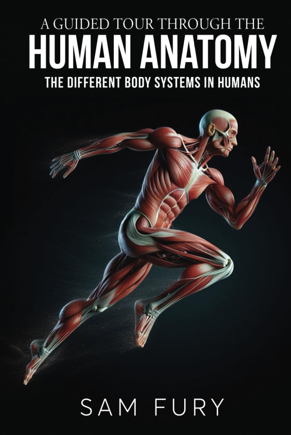 A Guided Tour Through the Human Anatomy: The Different Body Systems In Humans (Functional Health Series)