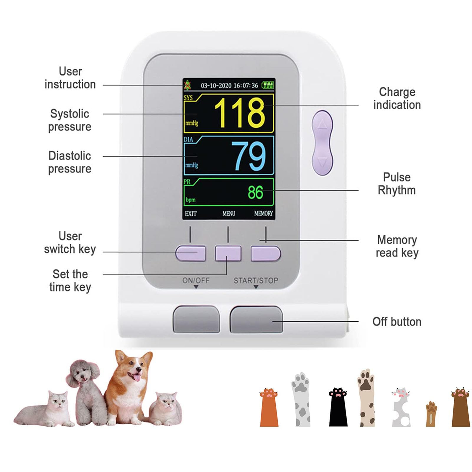 Equipo veterinario digital veterinario monitor de presión arterial brazalete perro/gato/mascotas, cuidado de animales, 3 modos, 3 puños, esfigmomanómetro electrónico, medición de oxígeno en sangre