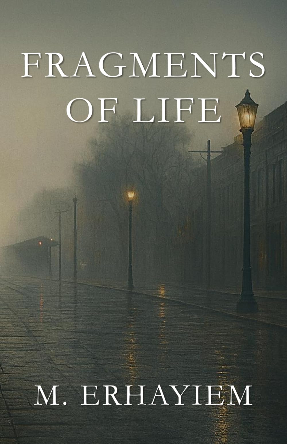 Fragments of Life