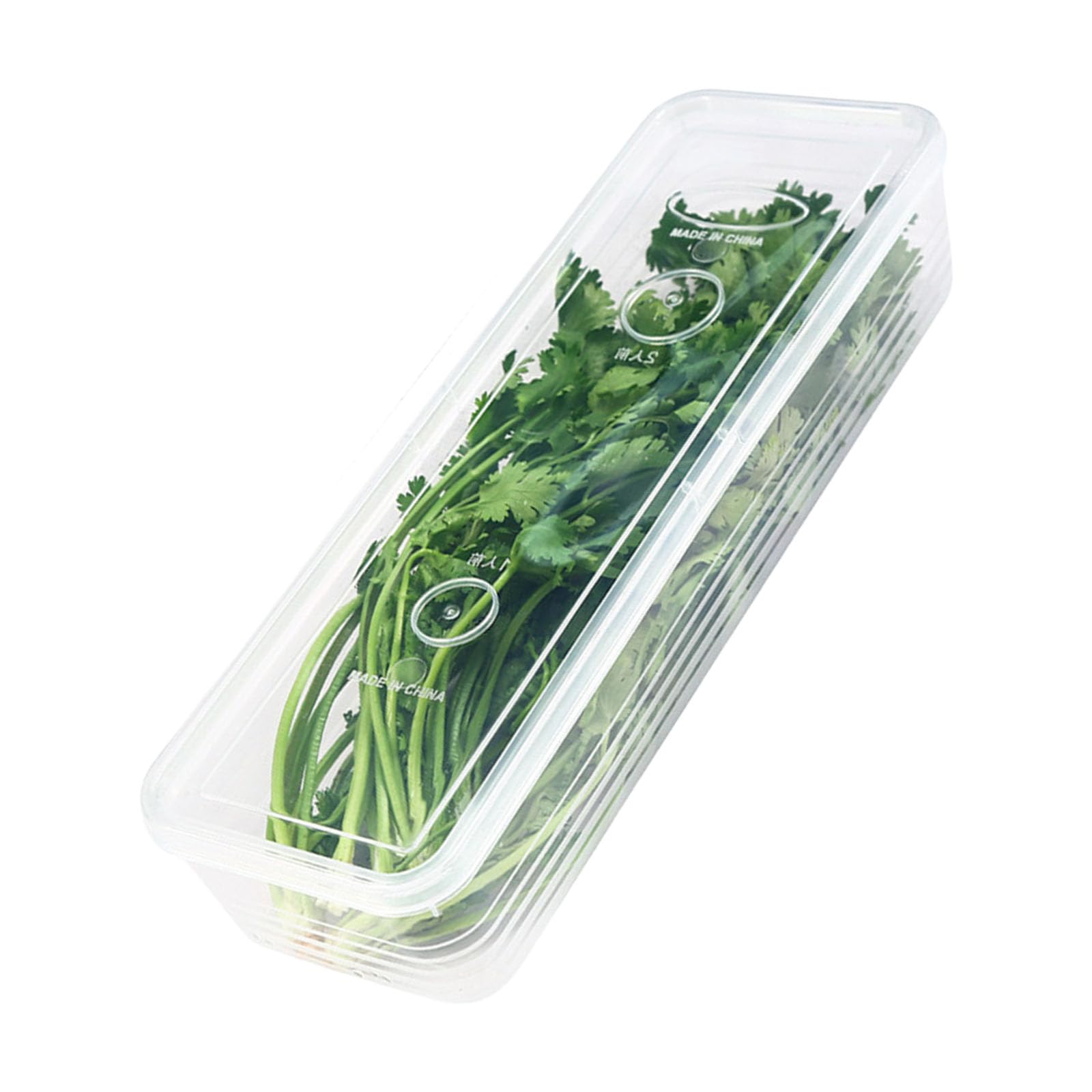 FackLOxc Efficient Kitchen Organizers Clear Seal Container Garlic Gingers Scallion Holder for Storing Noodles and Spices Proof Container