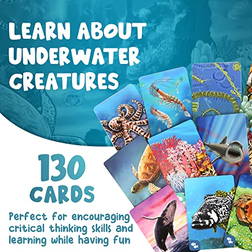 Ecosystem: Coral Reef juego de cartas educativo miniatura 3