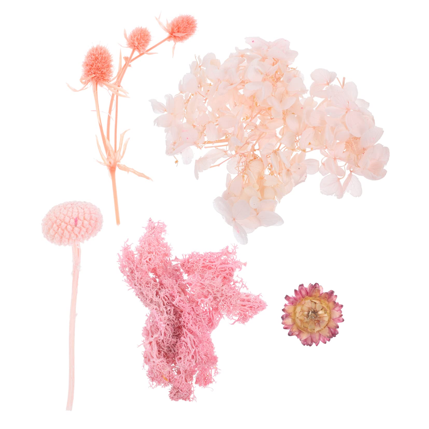 COHEALI 3 Set Di Fiori Pressati Secchi Per Larte in Resina Petali Di Fiori Naturali Per Decorazioni Materiale Artigianale Squisito