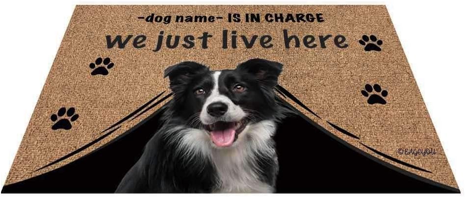 BAGEYOU Personalized Dog's Name Doormat with My Love Dog Border Collie Welcome Floor Mat Who is in Charge We Just Live Here 27.5 x 17.7