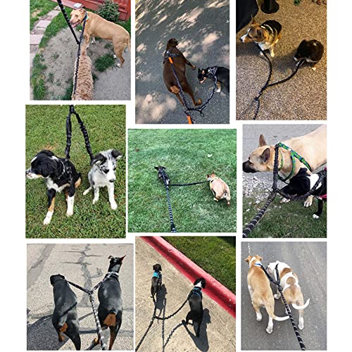 Dual Dog Leash For 2 Dogs, Lrhinetar Double Dog Leash With 360 Swivel No Tangle Walking #TOP4