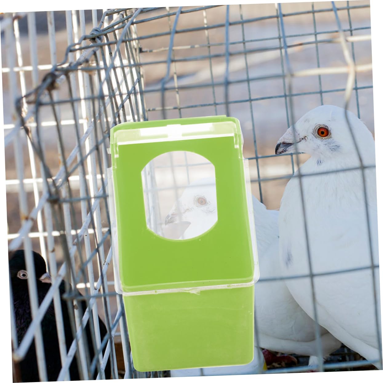 Yardwe 4piezas Comedero para y Cacatúas Comederos Suministros para Aves Colgante Duradero