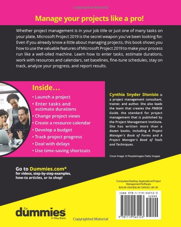 Microsoft Project 2019 For Dummies (Project for Dummies) - Image 2
