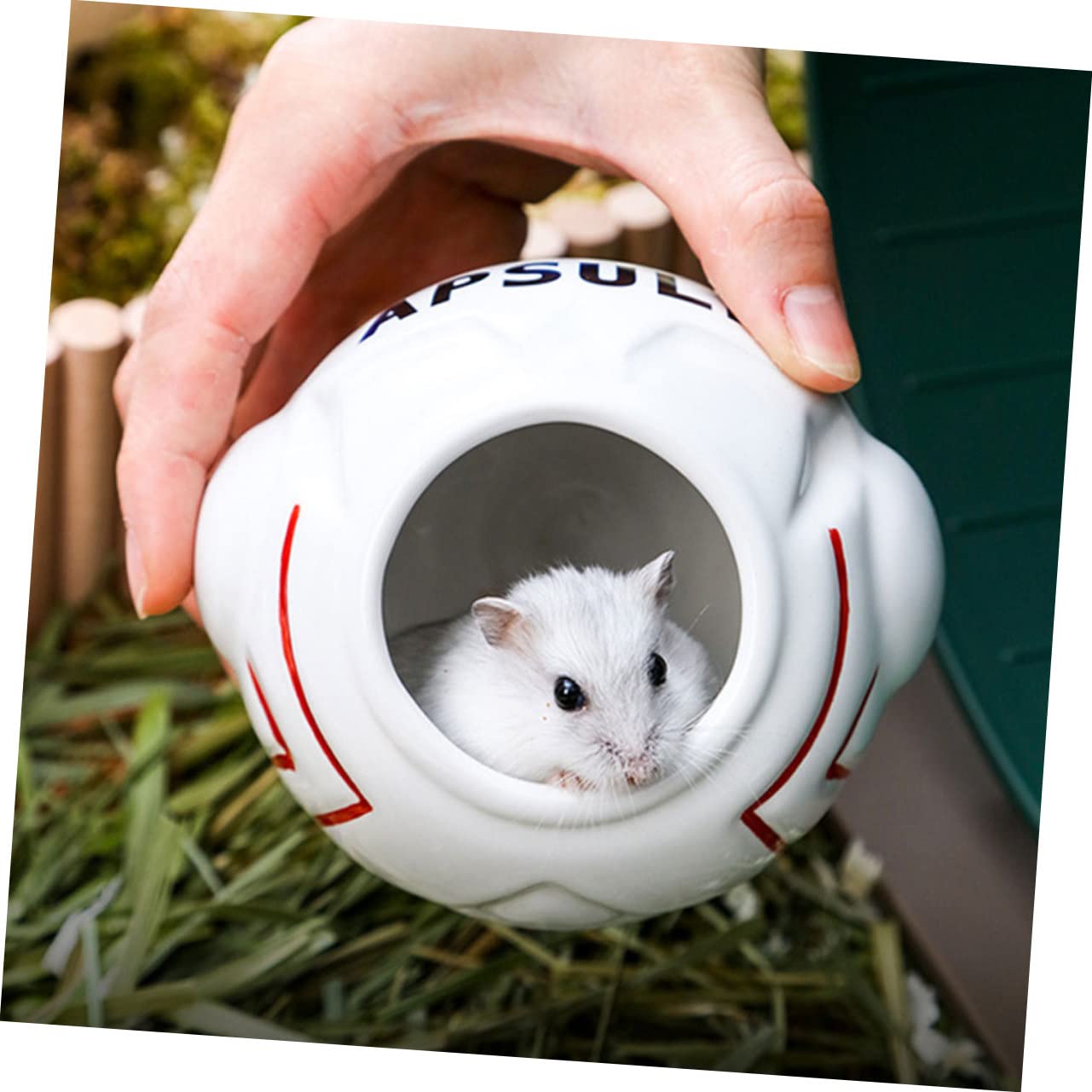1juego Comederos y Refugio para Hámster Temática Espacial Cuenco Cerámico Baño De Cerámica y Escondite para Chinchillas para Hámsteres y Mascotas Pequeñas