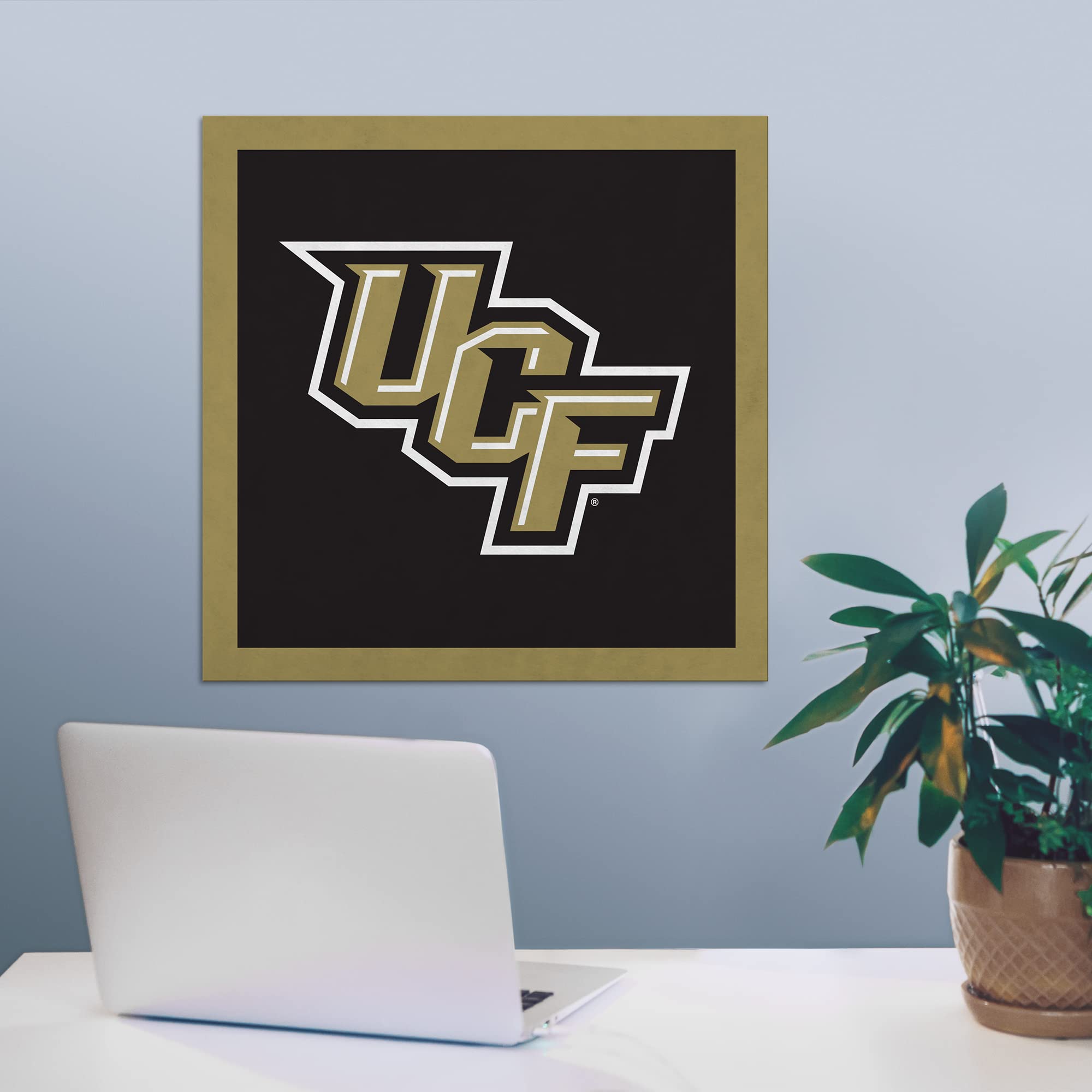 Rico Industries NCAA Central Florida Knights - UCF UCF Standard 23