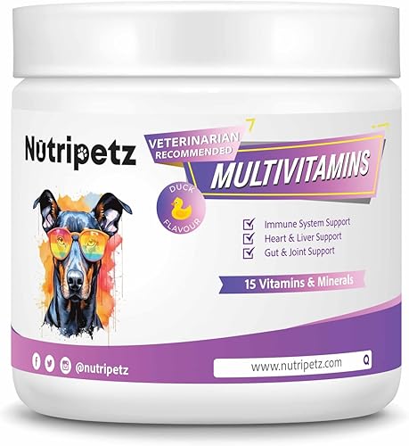 Miniatura 2 de Vitaminas y suplementos para perros - Multivitaminas masticables para perros - Apoya el cerebro, el sistema inmunológico, la salud digestiva y el