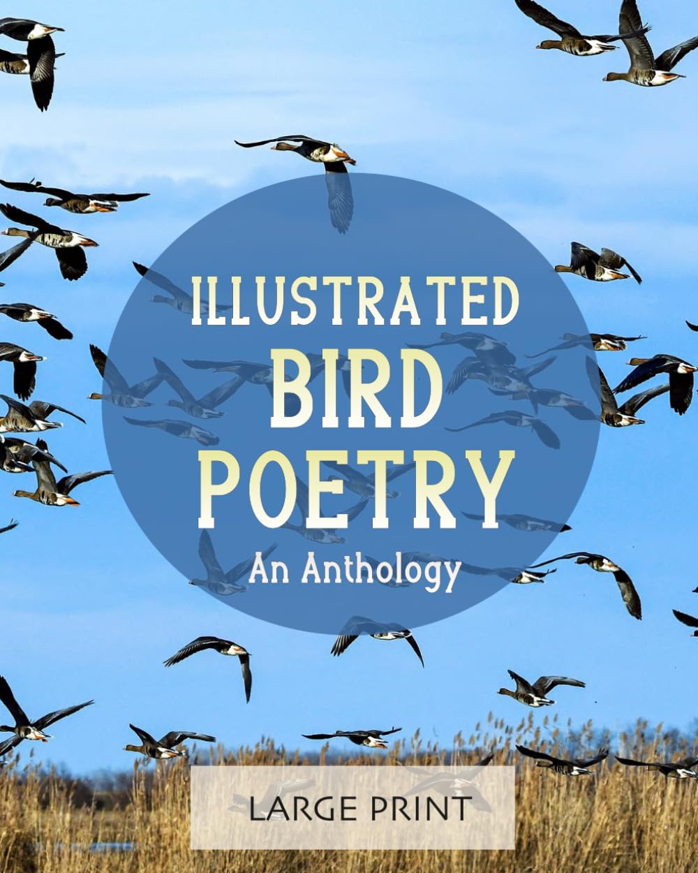 Illustrated Bird Poetry: An Anthology (Large Print): A dementia-friendly, vision-friendly selection of verses from classic, well-loved poets