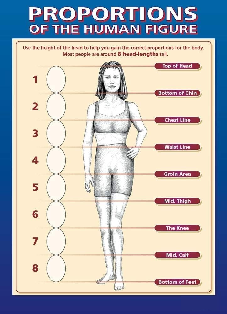 Drawing Anatomy Poster Human Figure Proportions Chart Educational Wall-Art for Art Class and Studio Decor(Framed,12x18inch(30x45cm))