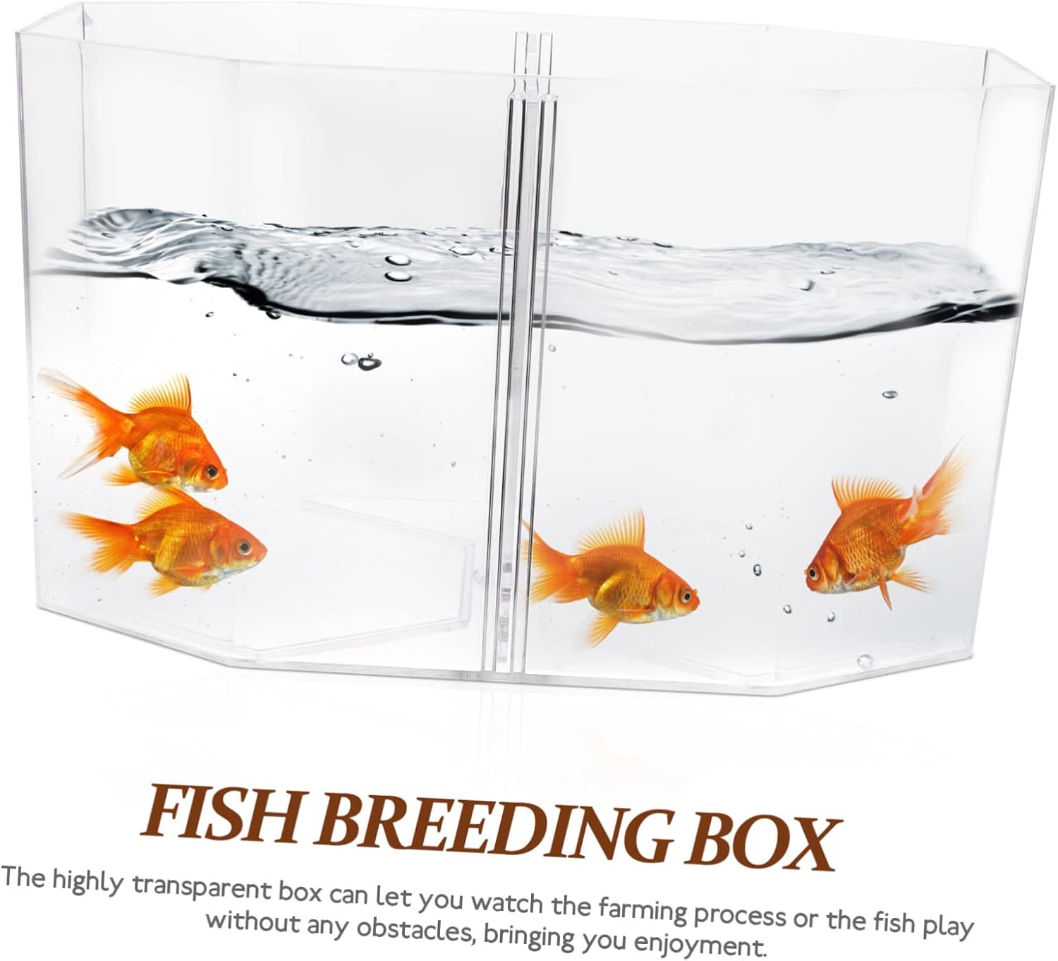 ARTIBETTER Transparent Fish Isolation Tank Two Compartments High- Breeding Box for Betta and Small Fish Aquarium Incubator for Spawning and