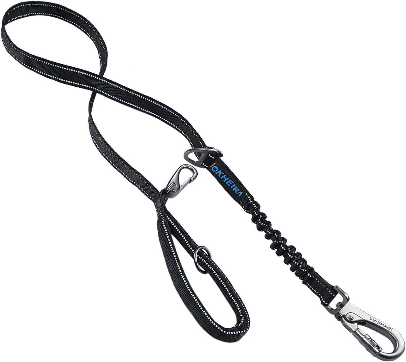 sedia da campeggio per cani