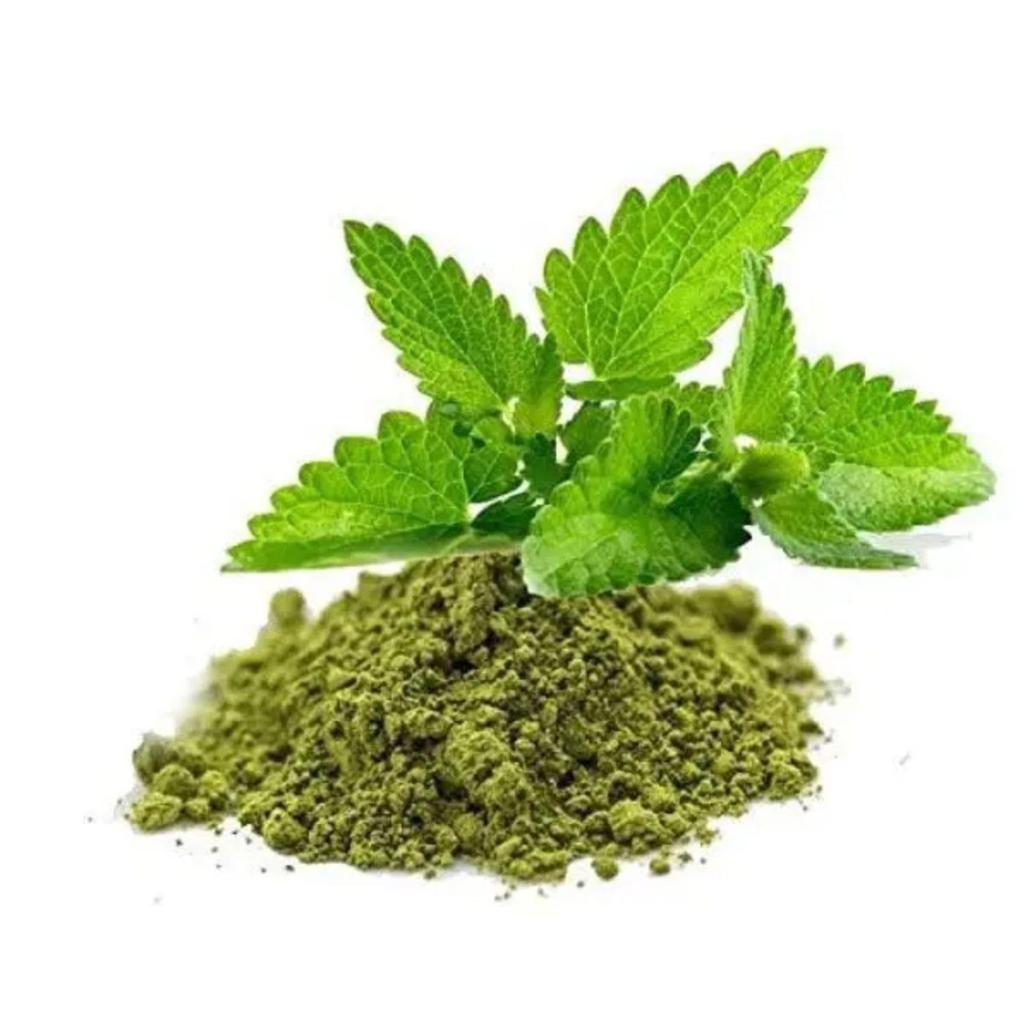 BONGIOVANNI FARINE E BONTA' NATURALI Basilico disidratato in polvere 1kg
