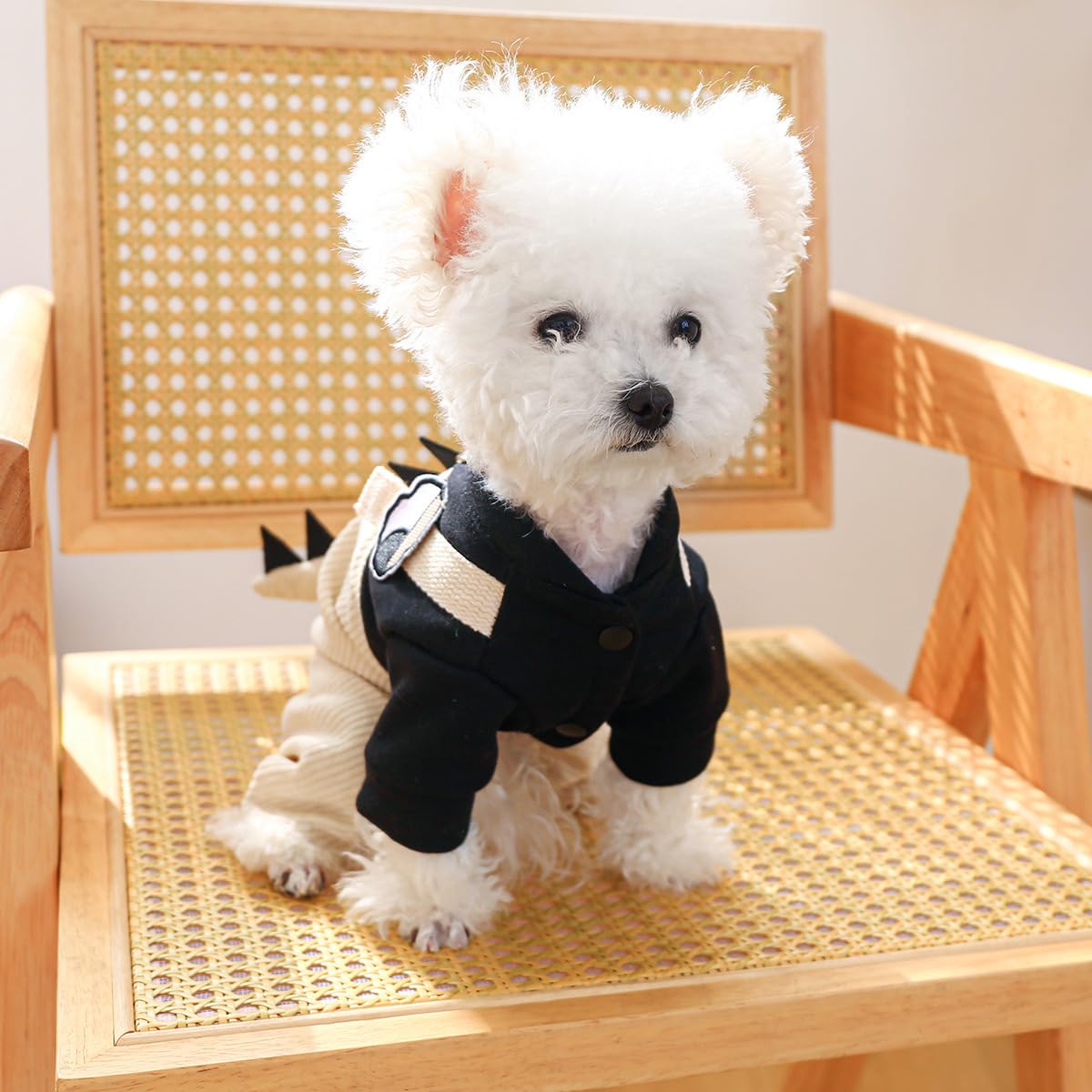 Mascota Perro Gato Ropa Traje Rayas Camisa De Otoño Ropa De