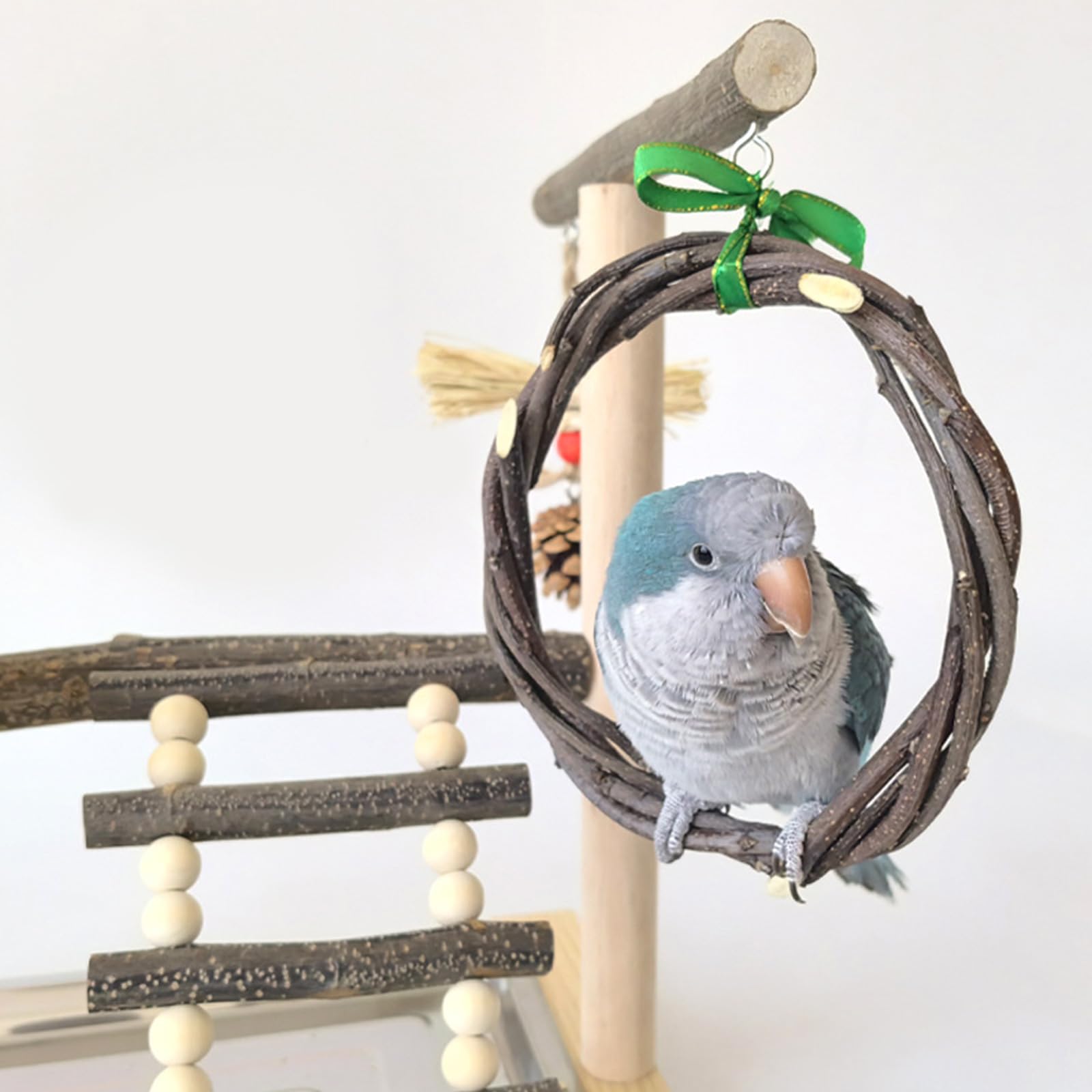 Perchoir de dressage pour oiseaux avec mangeoires pour perroquets de petite et grande taille