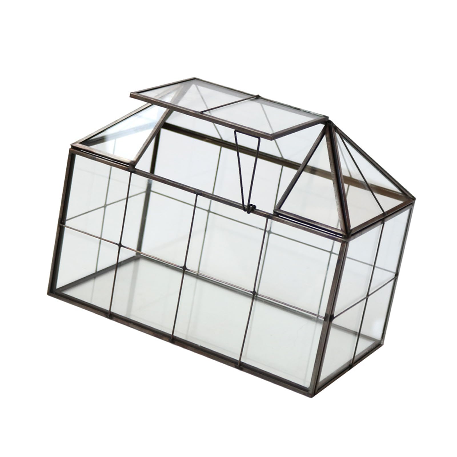 Decoración de terrario para alféizar de Ventana, Caja de exhibición de Vidrio Transparente con Techo con bisagras para diseños de Plantas, colocación de Escritorio y Uso de visualización de Anfibios,