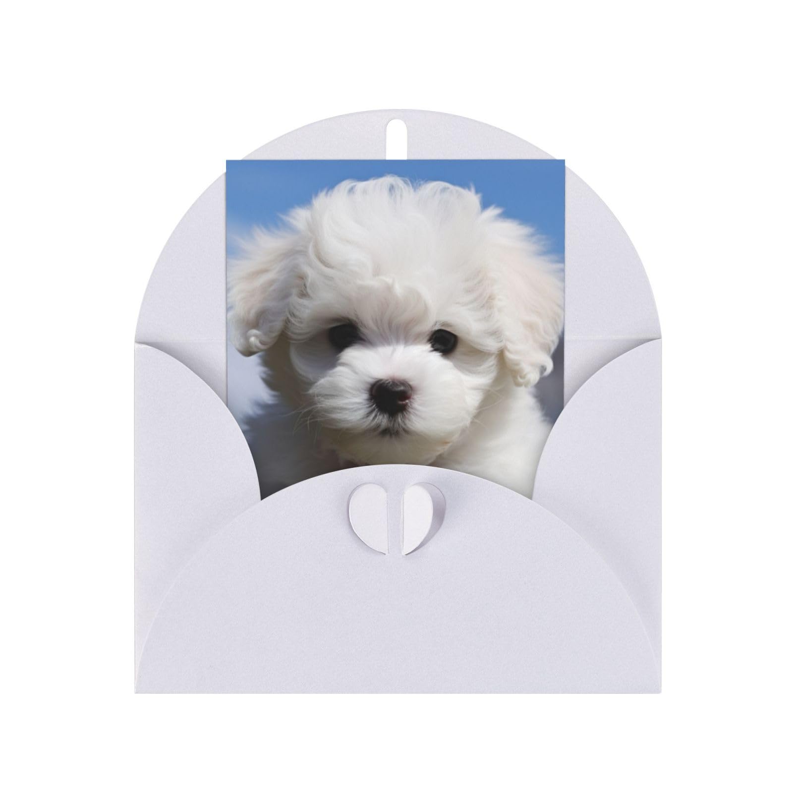 Amazon.co.jp: GDSHJKLW ビションフリーゼ 犬 ブランク グリーティング
