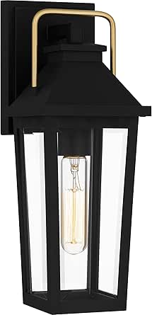 Quoizel Buckley 1-Light Matte Black Outdoor Wall Lantern