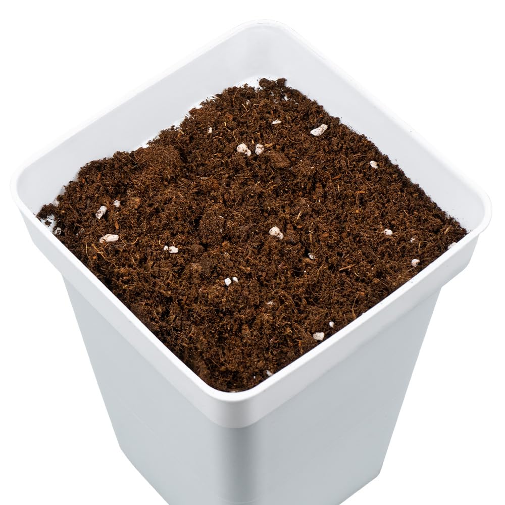 All Mix GB Nutrients | Sustrato Universal con Guano, Perlita, Turba y Fibra de Coco - Tierra para Plantas Apta para Todo Tipo de plantaciones (50L)