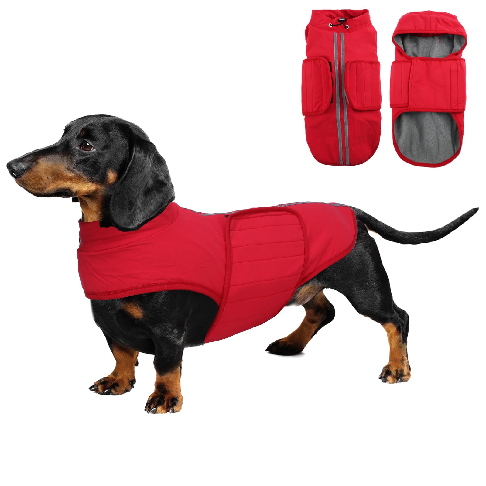 babepet Dachshund Coat Waterproof,Warm Coats & Jackets for Dogs,Miniature Dachshund Jumper,Reflective Small Dog Coat,Ideal for Outdoor&Indoor-Red-S