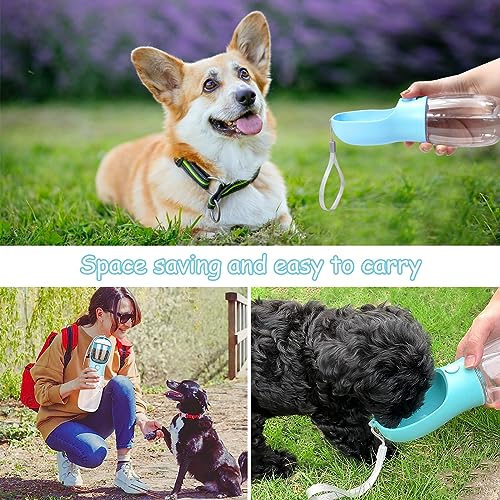 RZMZBY 550ml Borraccia Portatile per