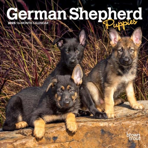 German Shepherd Puppies | 2025 7 x 14 Inch Monthly Mini Wall Calendar | BrownTrout | Animals Dog Breeds Puppy