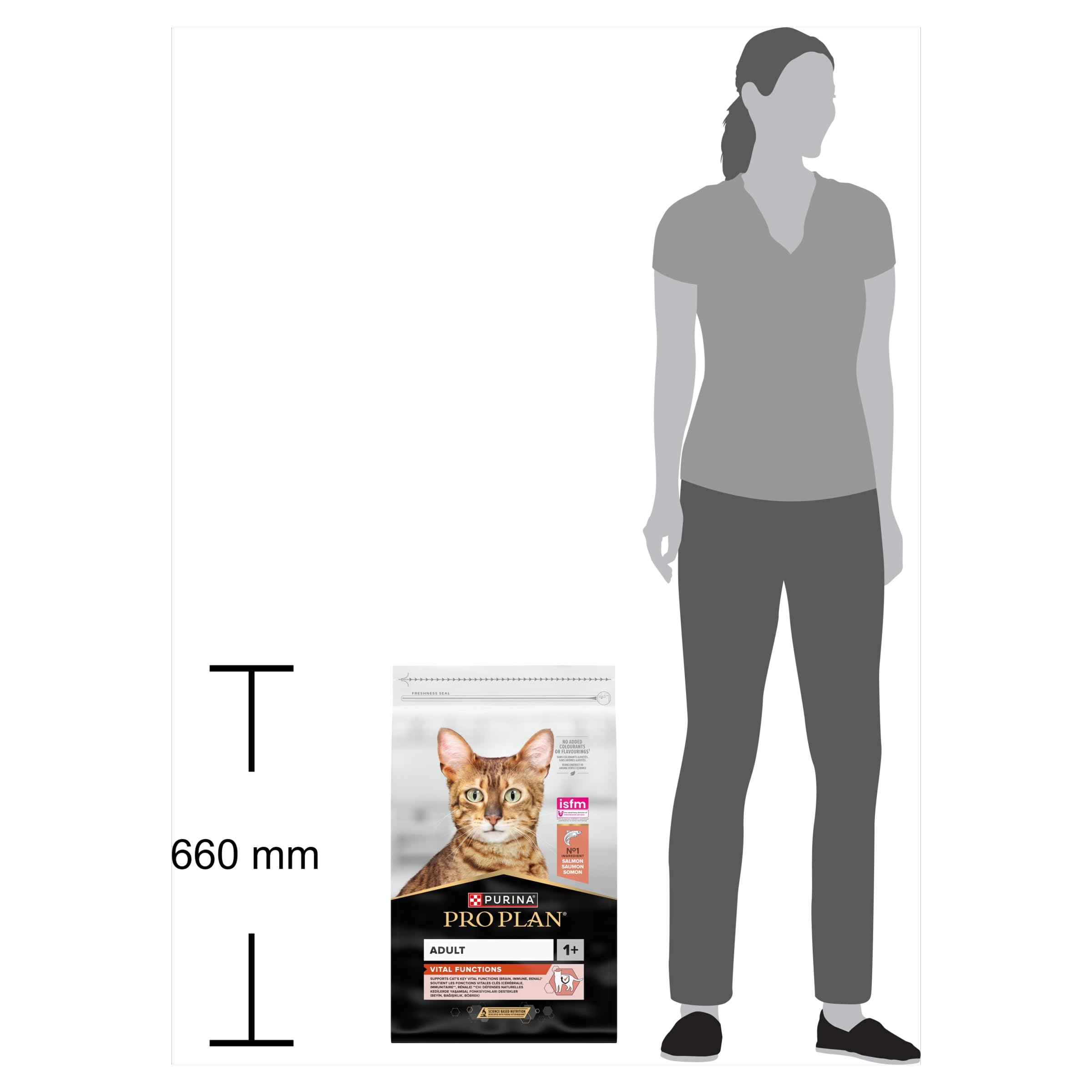 PRO PLAN Cat ADULT with OPTIRENAL Rich in Salmon, 10kg