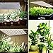 Roleadro 75W LED Grow Light, Full Spectrum Plant Light for Indoor Plants, Seedling, Hydroponic, Greenhouse, Succulents, Flower