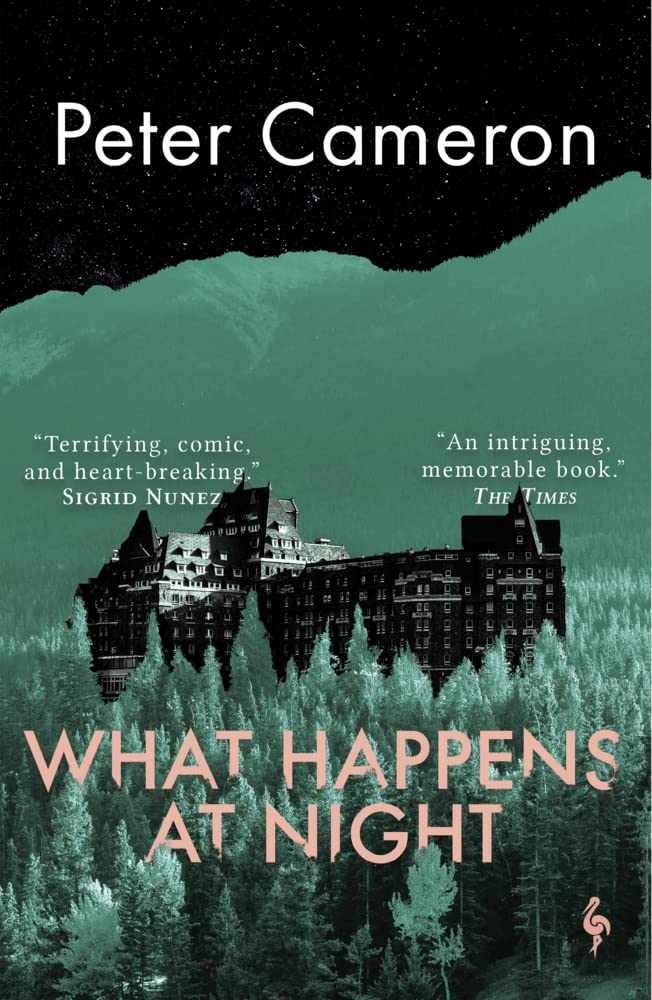 What Happens at Night: A novel