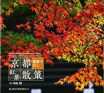 Tankobon Hardcover ?? ????????? (SUIKO BOOKS 158) Book