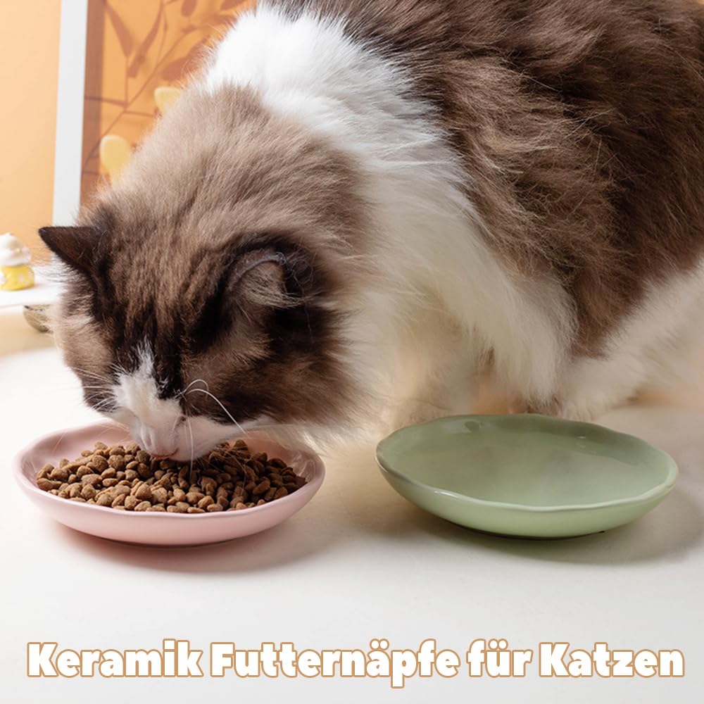 6er Keramik Katzennapf Set – Futternapf & Fressnapf für Katze mit Rutschfestem Silikonboden | Flache, breite Futterschalen | Futternapf Katze