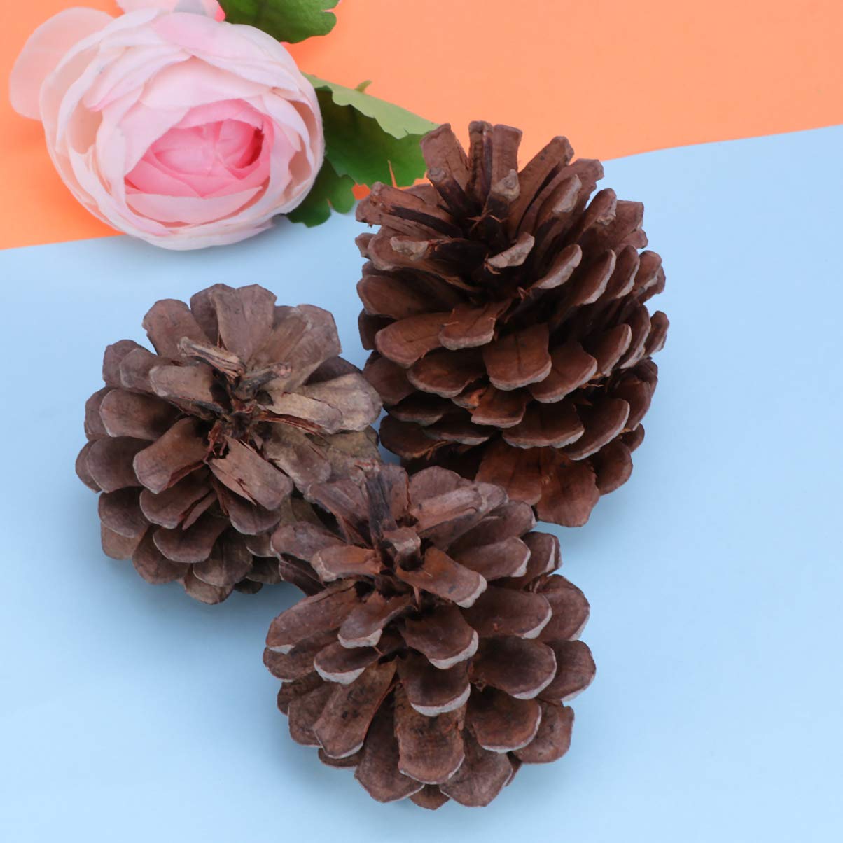 Natürliche Tannenzapfen Ornamente 50 Stück 6-8cm für Weihnachten | Wiederverwendbar, Winterdekoration für Zuhause und Party, Passende Deko für Küche, Vitrine