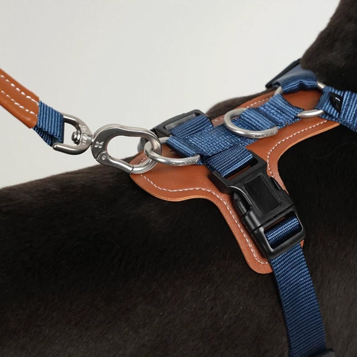 Arnés ajustable para perros en forma de H – Chaleco antitracción con 2 anillos de lino, acolchado transpirable, resistente al desgaste para entrenamiento y paseos, rojo, L