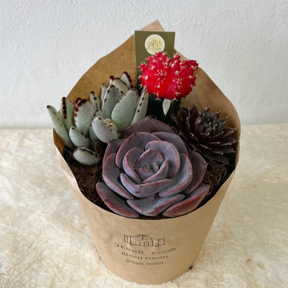 ❤️専用❤️多肉植物❤️そのまま飾れる寄せ植え❤️４点❤️ そのまま飾れる】多肉植物 寄せ植え ..＊ 29 ＊.. 多肉植物 Dia