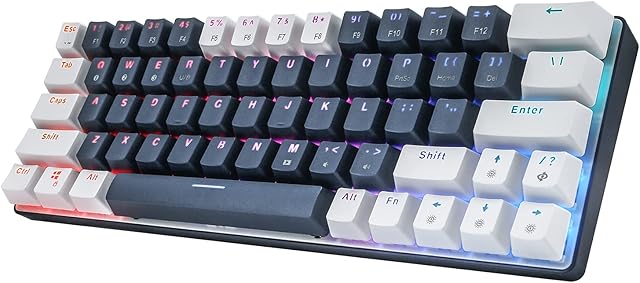 60% Mechanical Keyboard,Wired Bluetooth Dual Mode 63 Keys TKL Compact Design RGB Led Backlight,Clicky Blue Switch,Blue White (US-Layout)